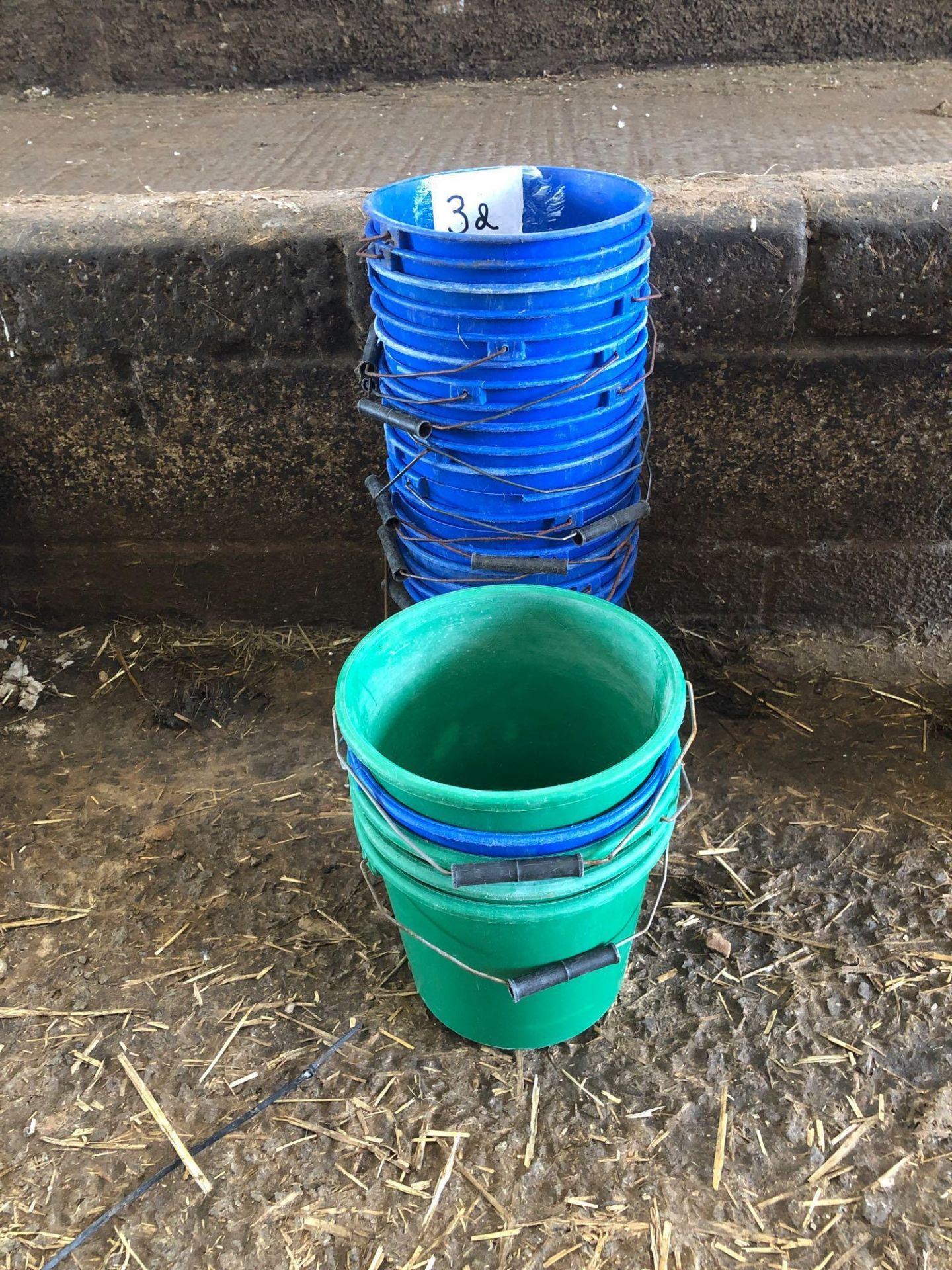 Quantity of calf feeding buckets