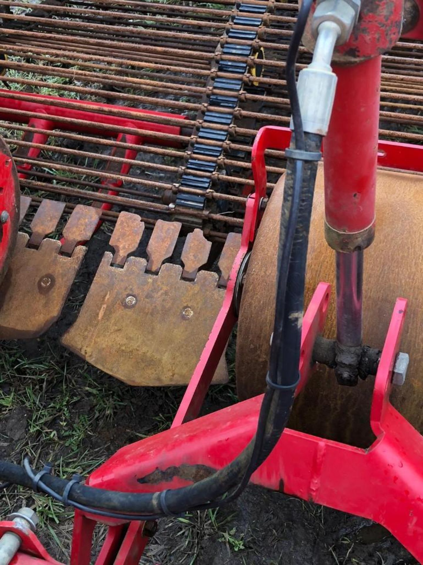 Grimme GT Potato Harvester - Image 5 of 8