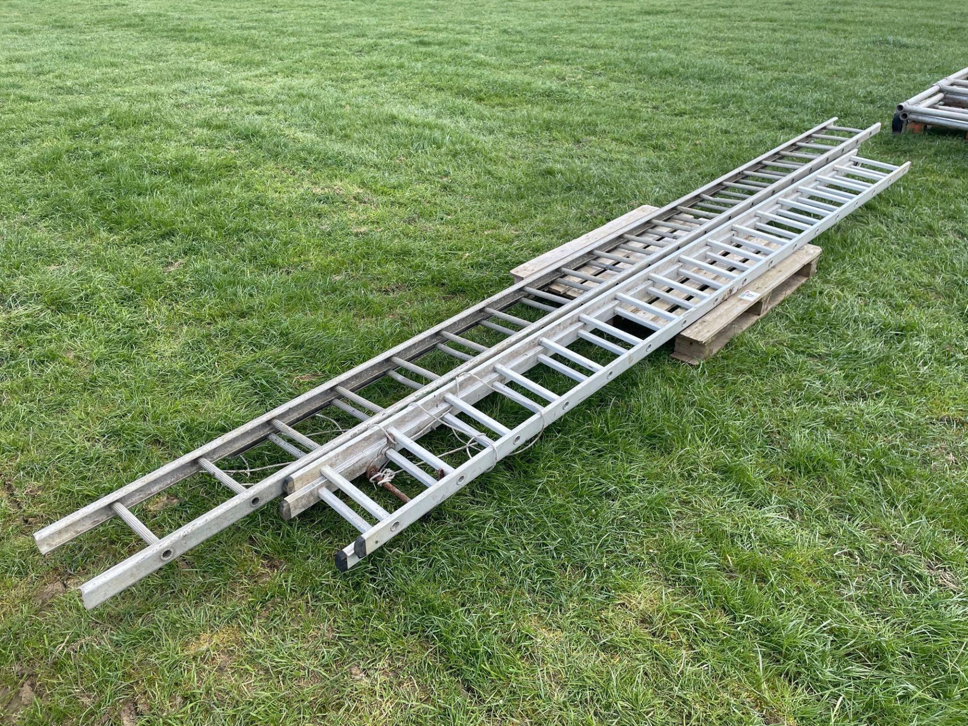 Quantity aluminium ladders