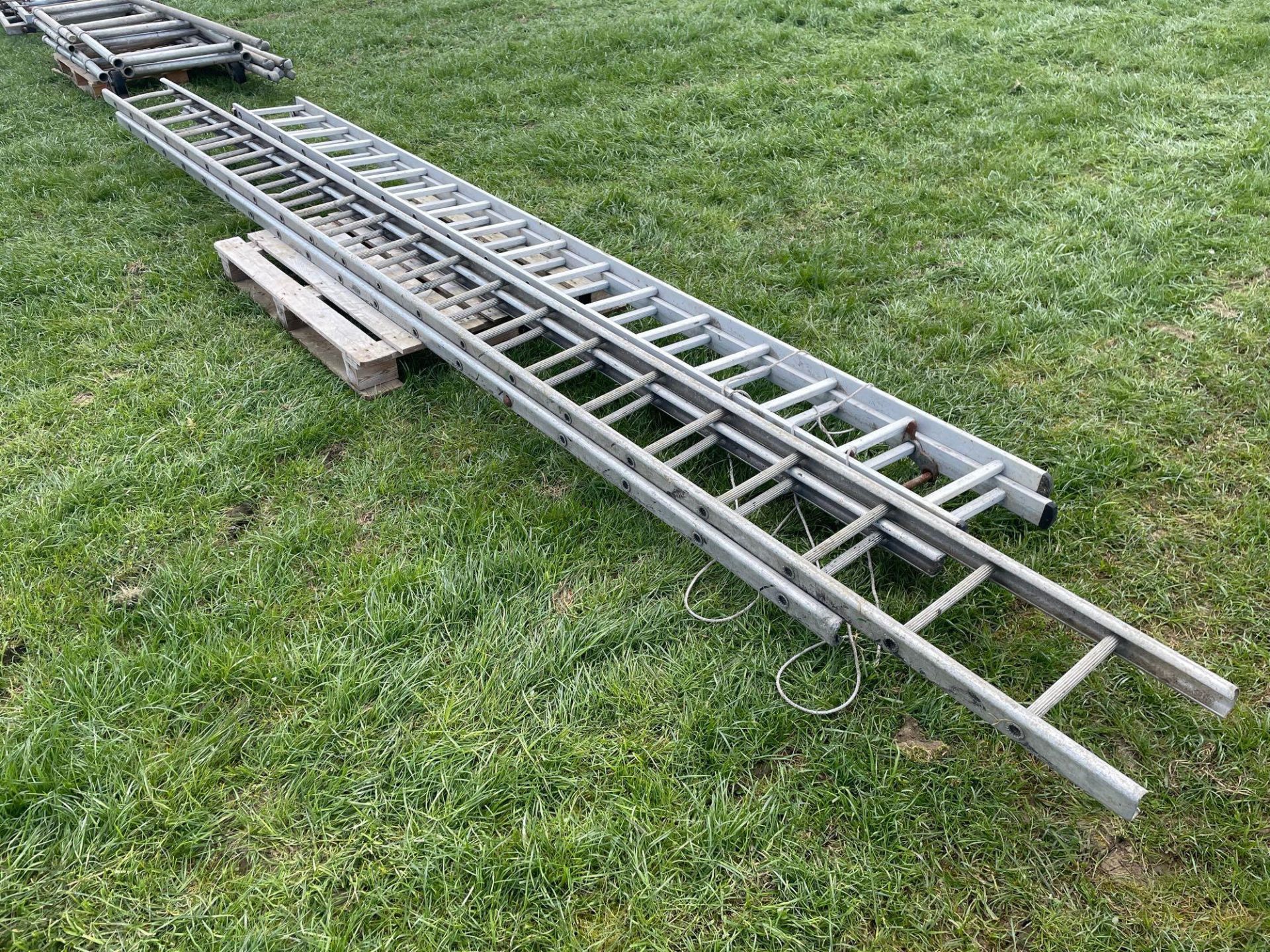 Quantity aluminium ladders - Image 2 of 3