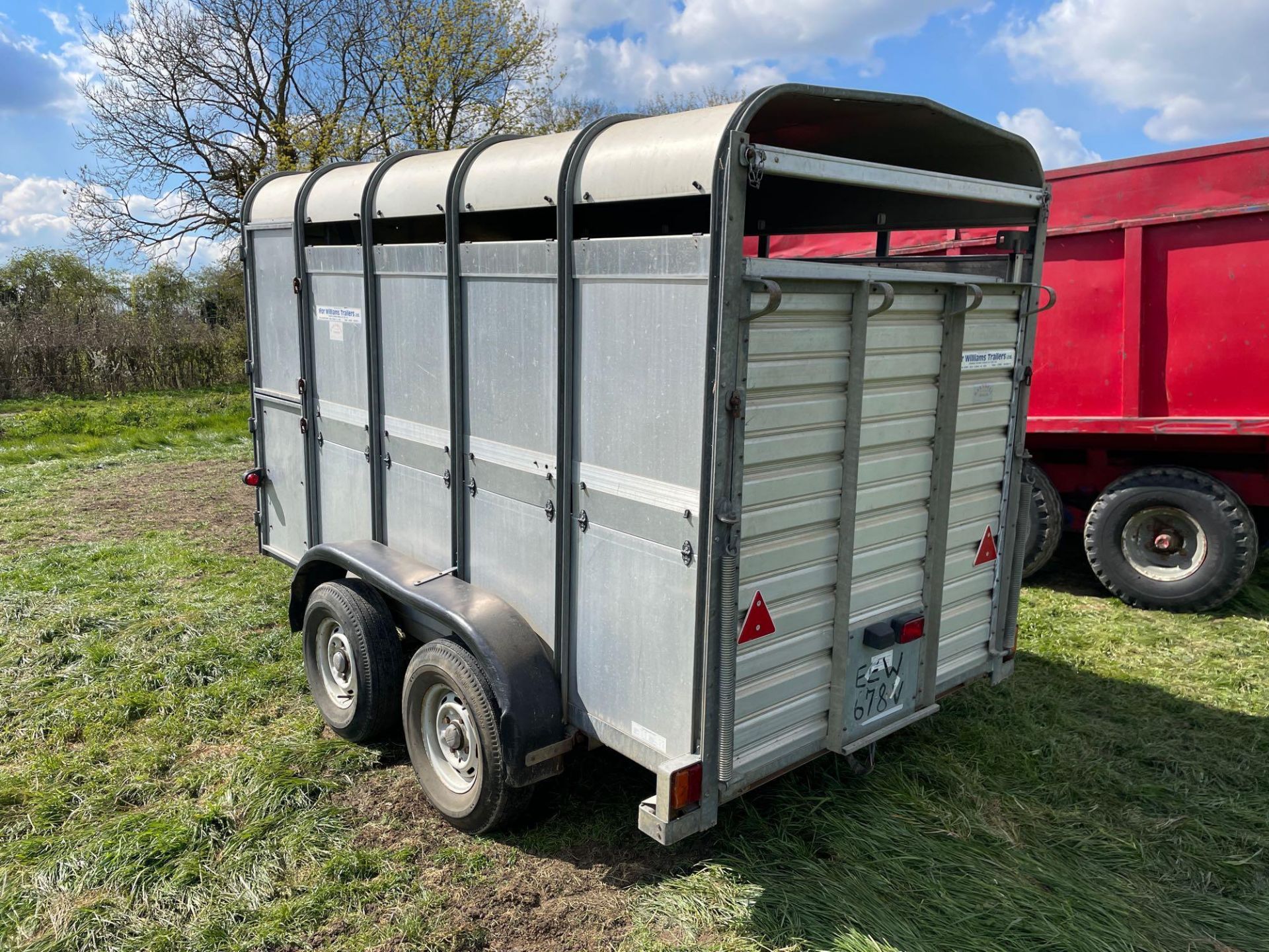 Ifor Williams TA-5-G twin axle livestock trailer with partition gate. Serial No: 131356 - Image 11 of 14