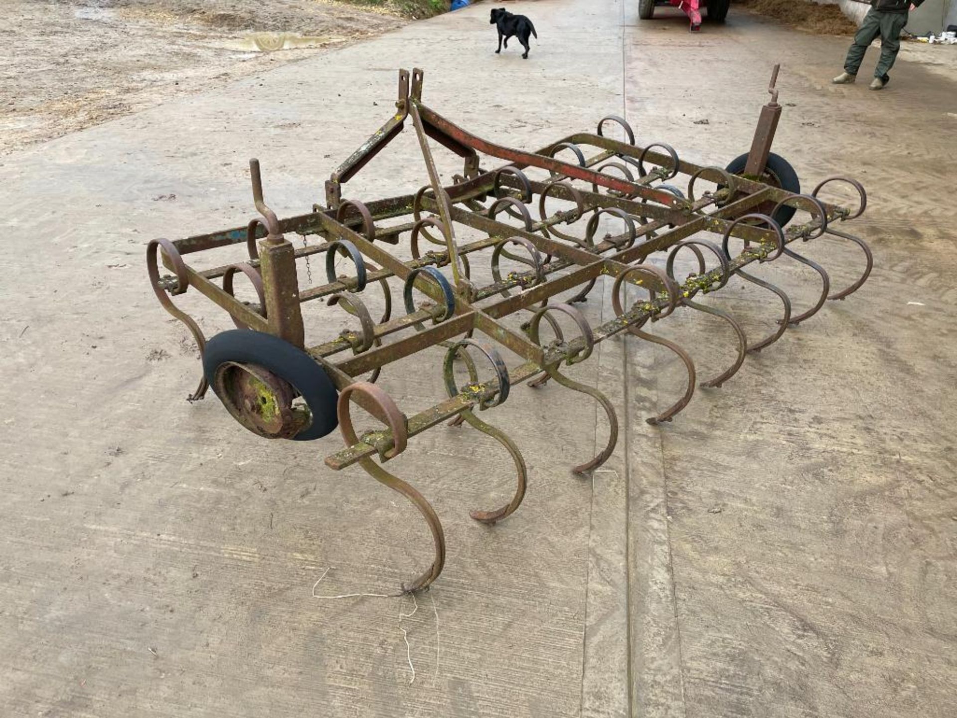 Springtine cultivator 8ft 6inch linkage mounted - Image 5 of 9