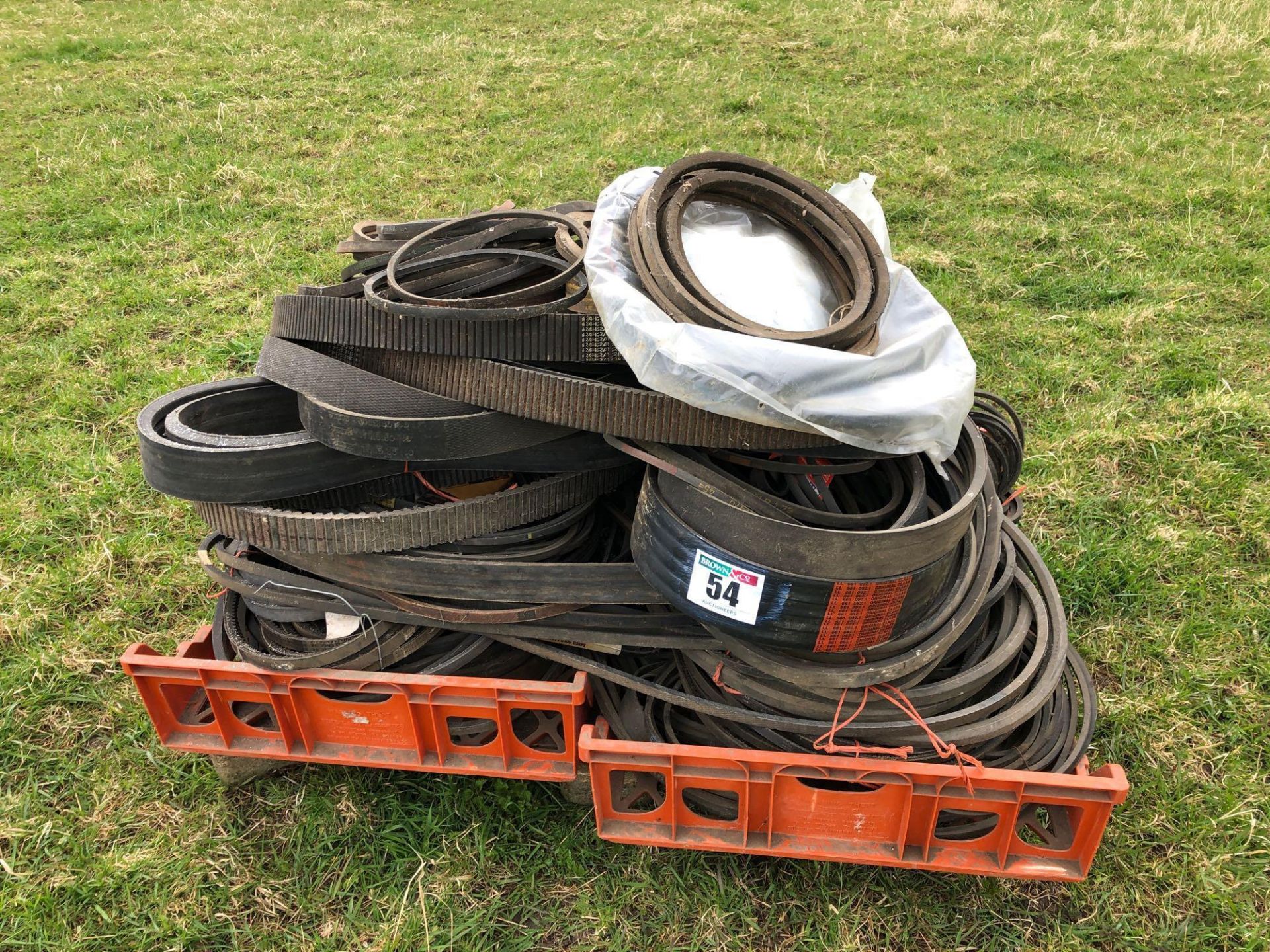 Quantity drive belts