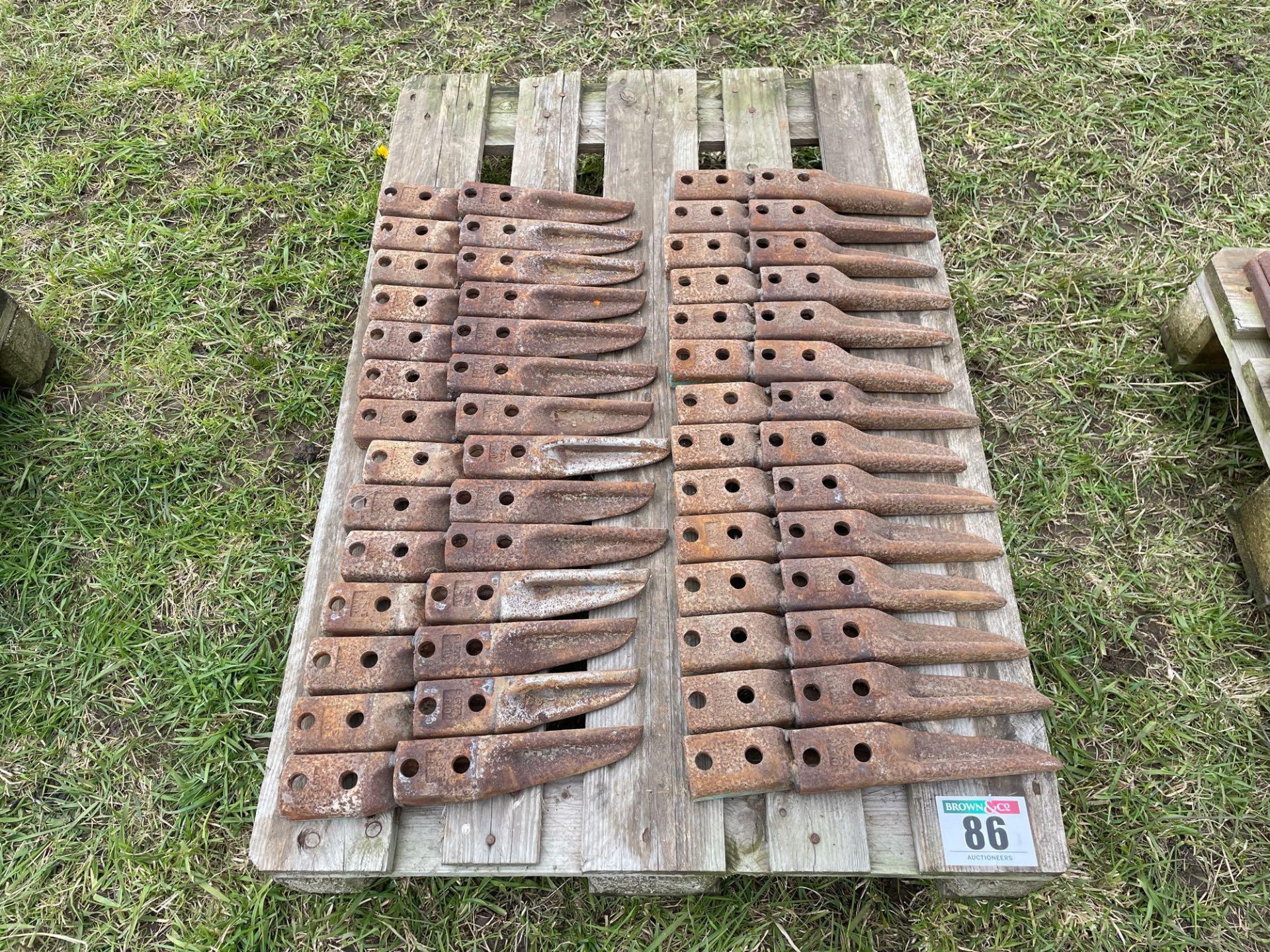 Quantity Eberhardt power harrow tines