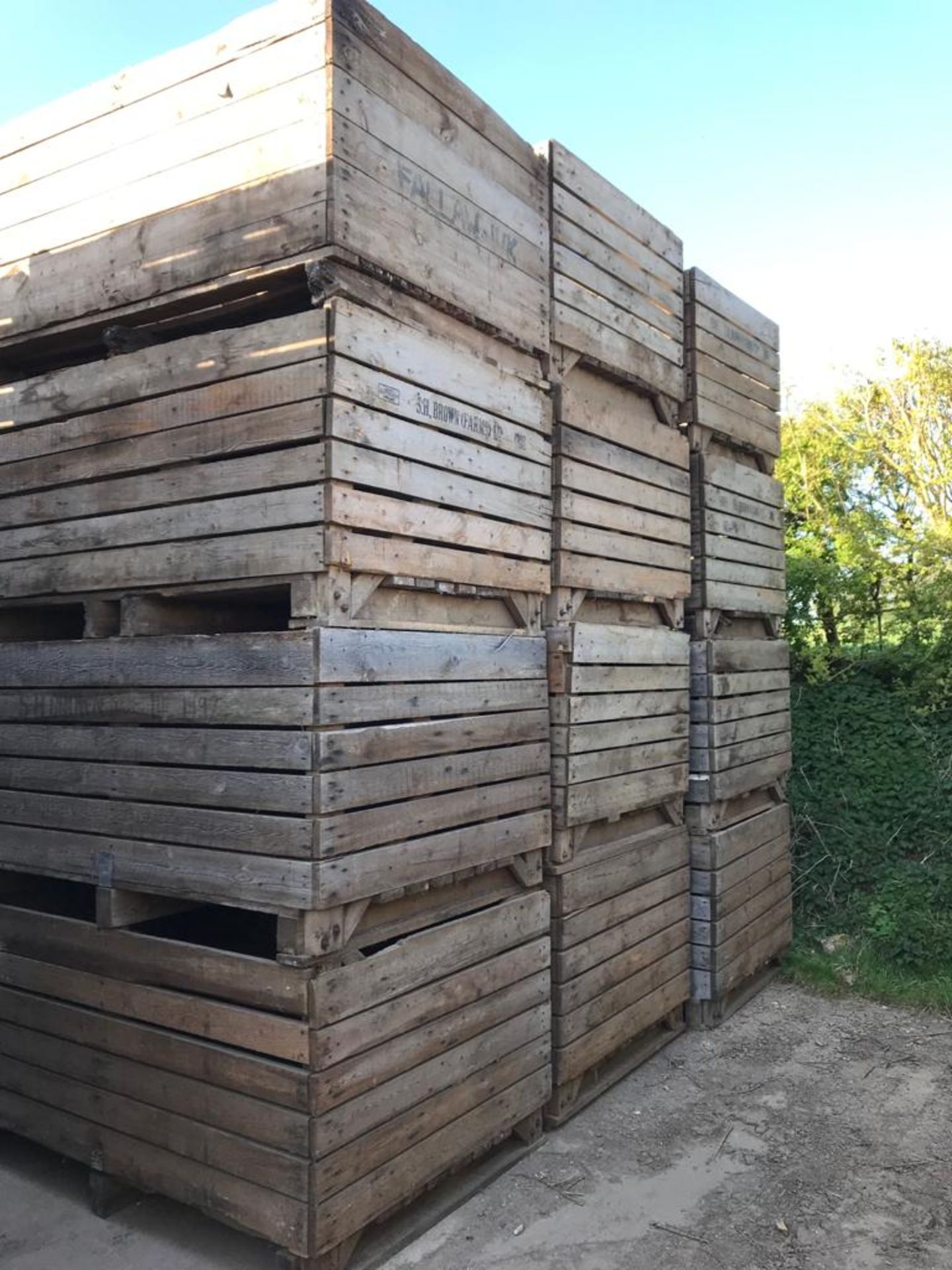 36 Potato boxes - Image 2 of 3