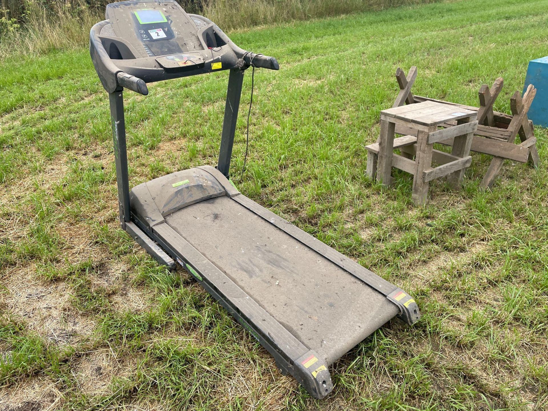 Evolution treadmill