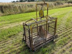 Pig scales with Gascoigne weigh clock