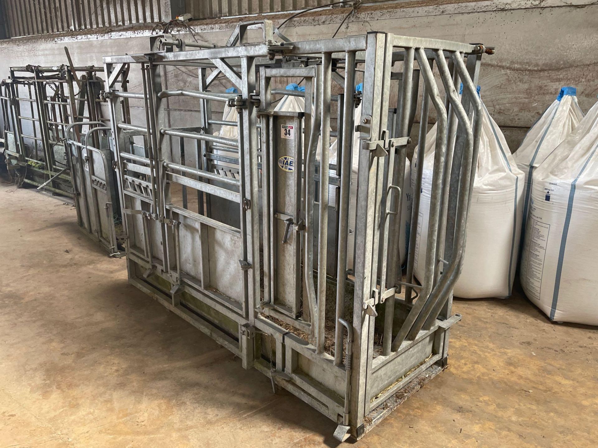 2004 IAE Centurion galvanised full access cattle crush. Serial No: 041791 - Image 2 of 8