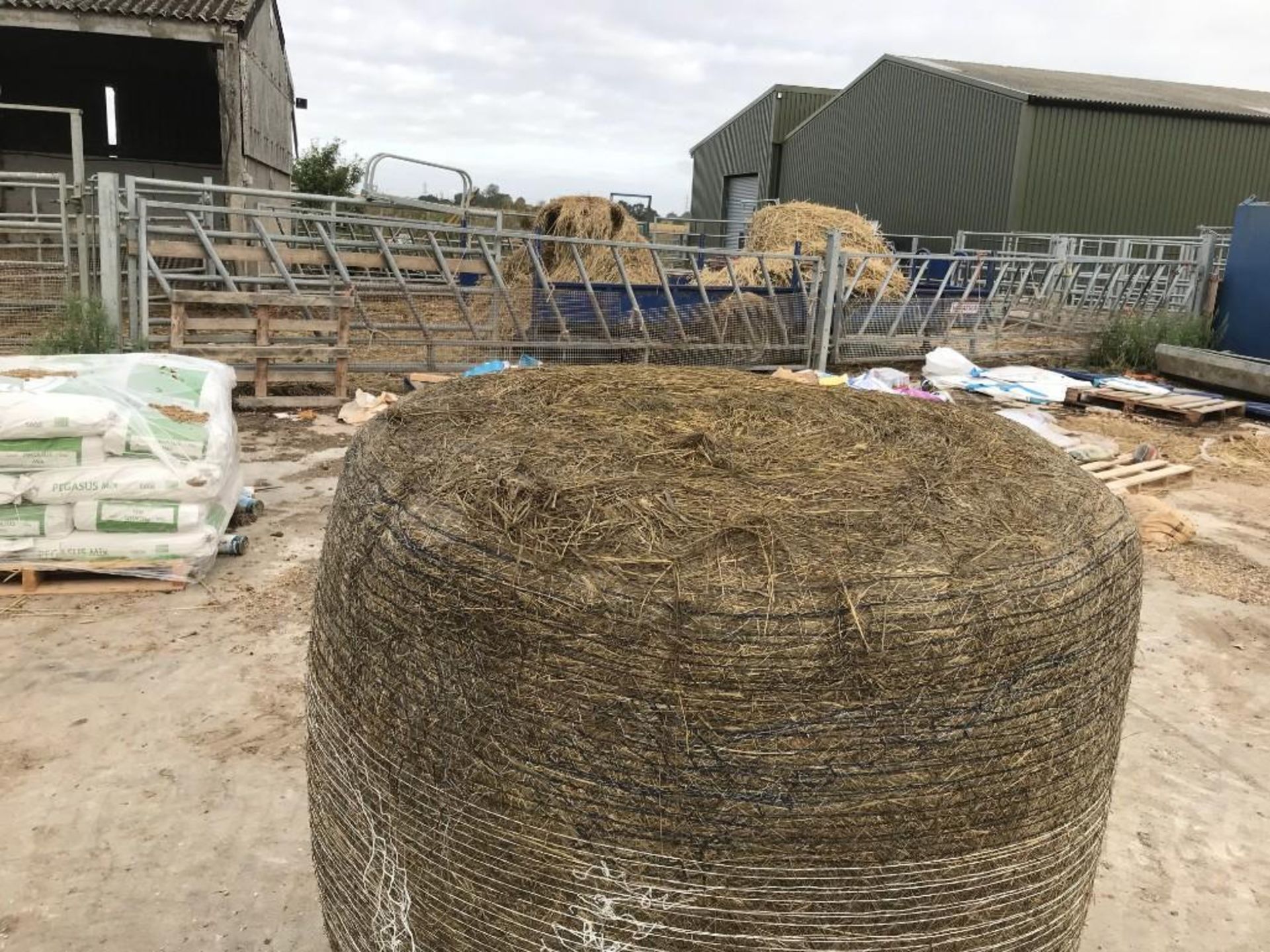 25 x Grass Silage Bales - Image 2 of 4