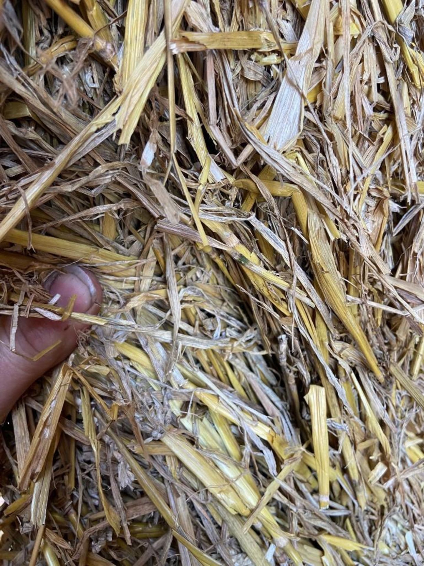 144 Bales of Wheat Straw, 2021 - Image 3 of 3