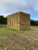 100 Bales of Barley Straw, 2021