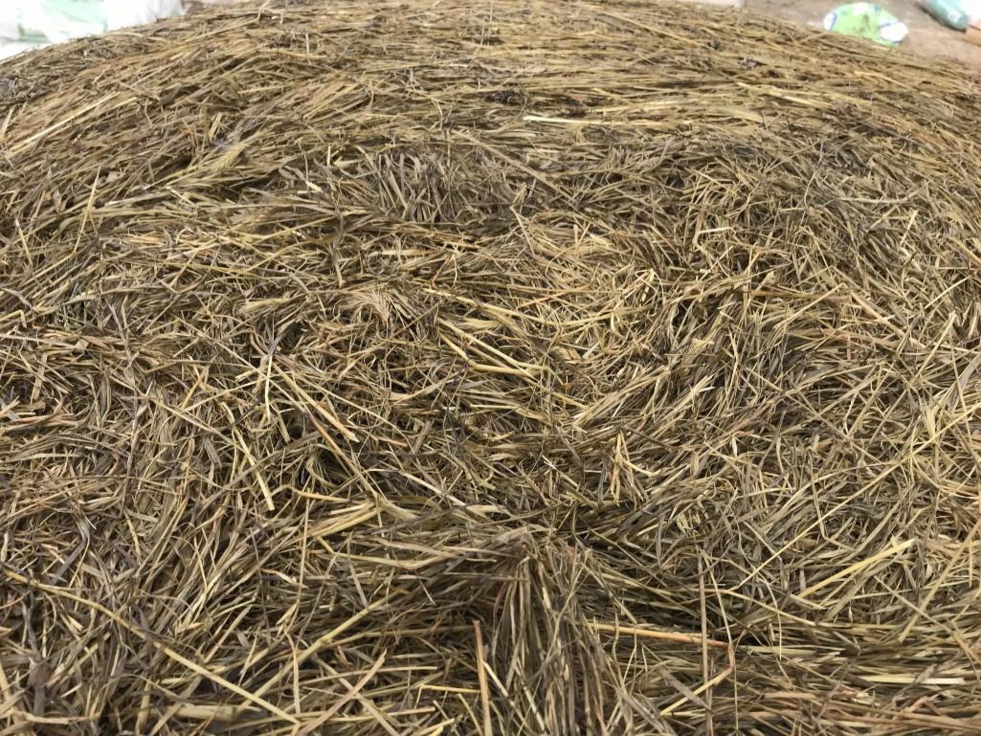 25 x Grass Silage Bales - Image 3 of 4