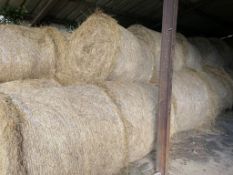 23 x 4ft Round Bales Meadow Hay