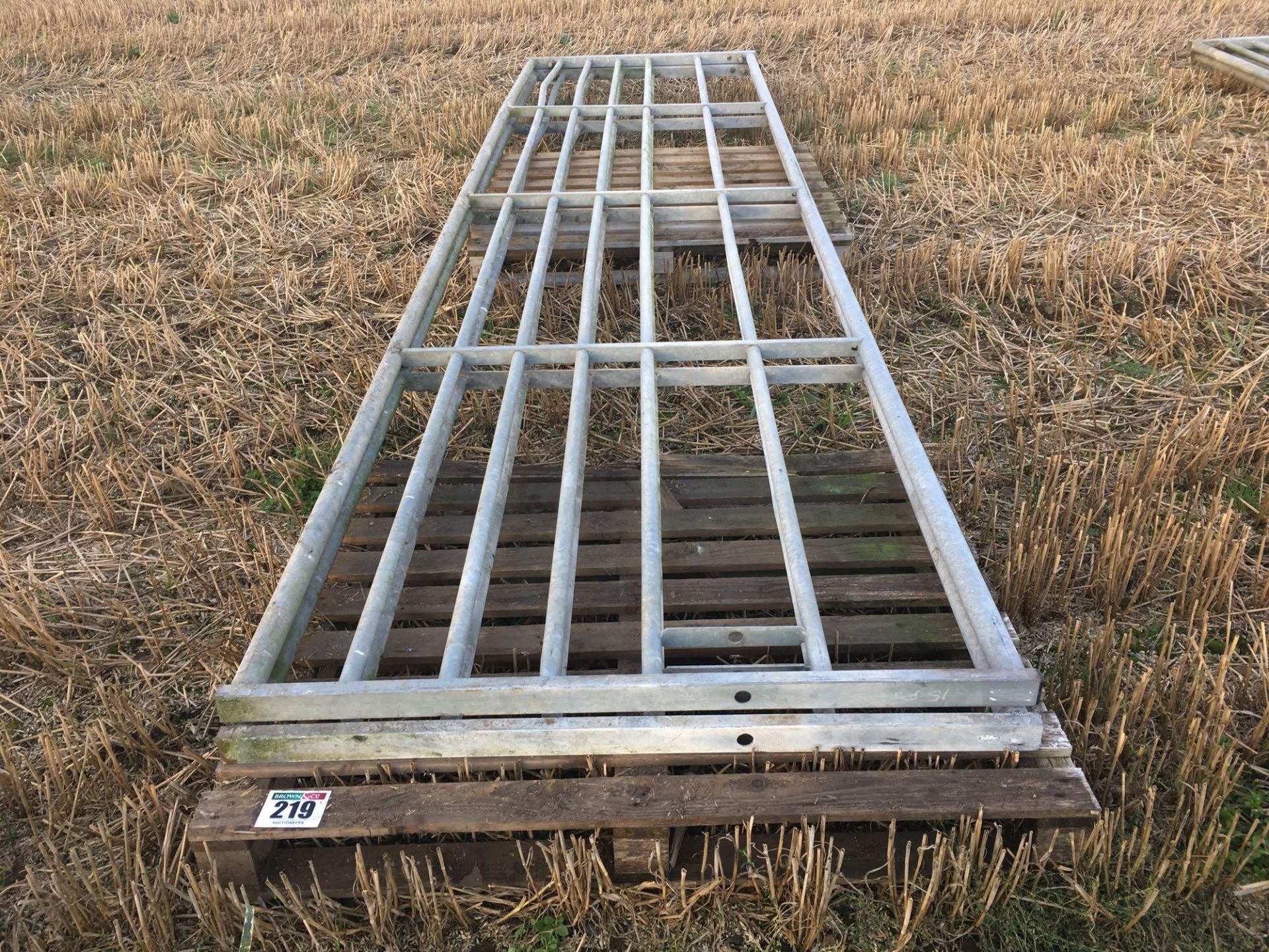 Pair of 15ft (4.5m) galvanised gates