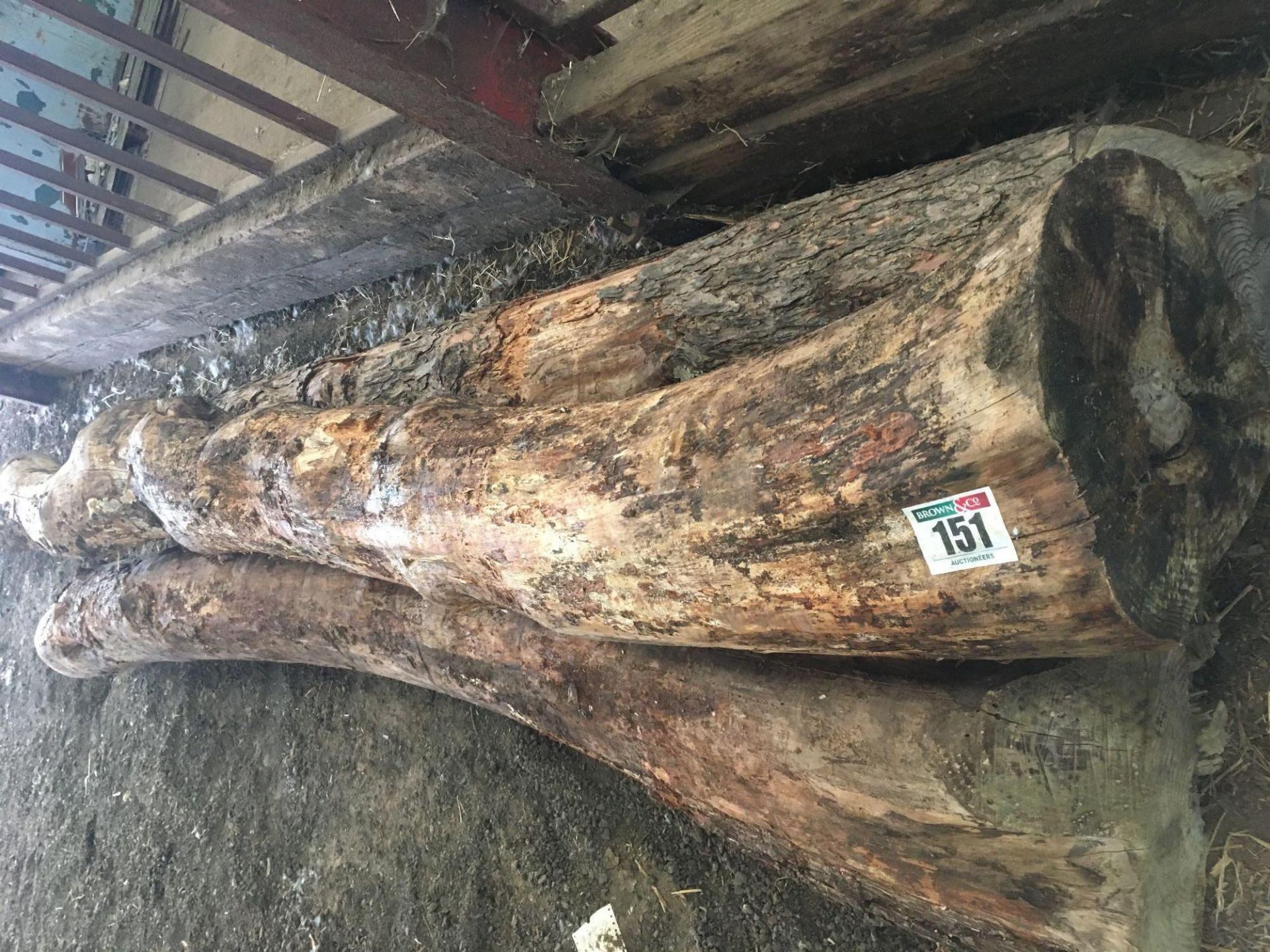 Qty of uncut timber - Approx 5 tons - Image 2 of 3