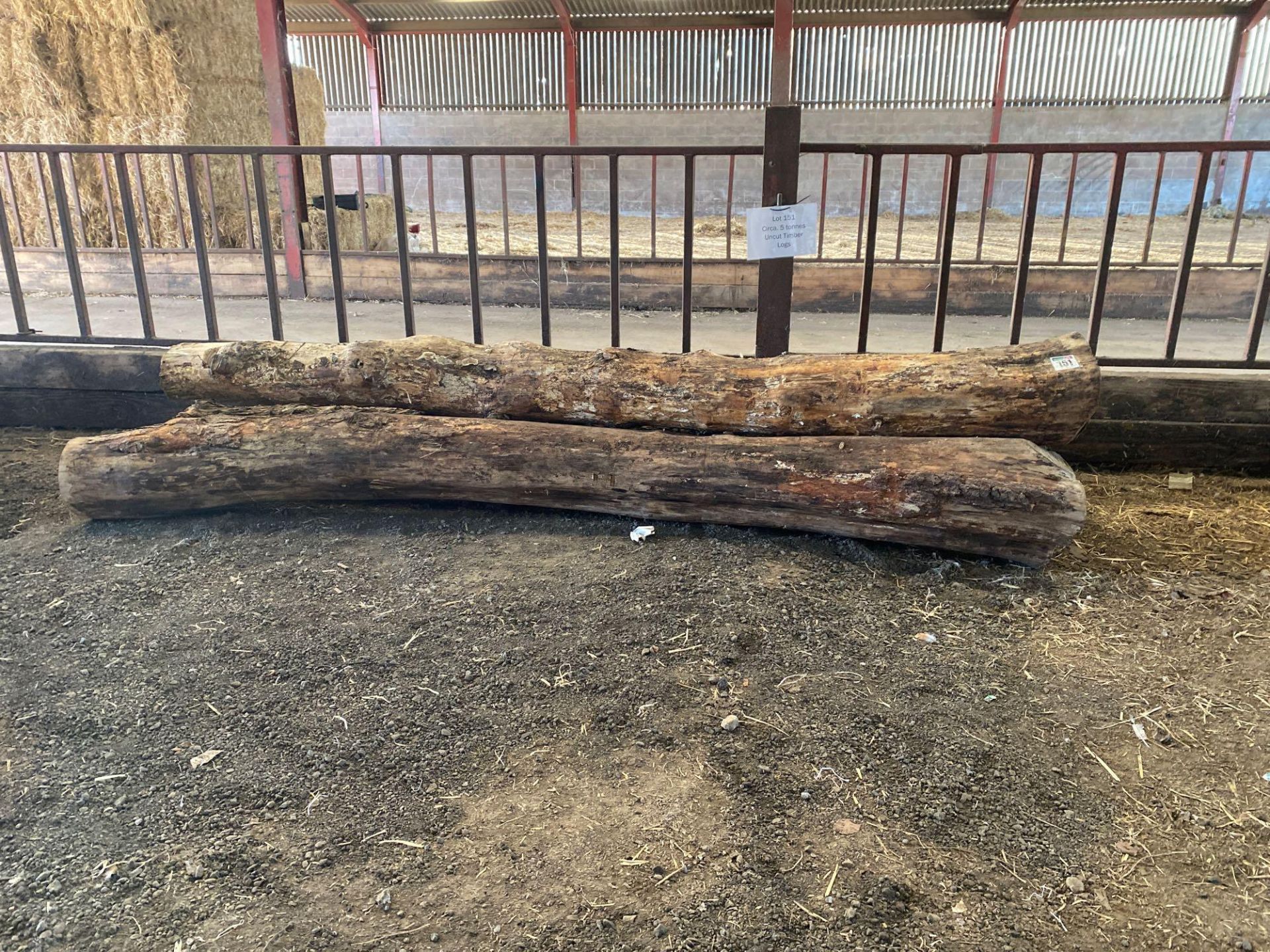 Qty of uncut timber - Approx 5 tons