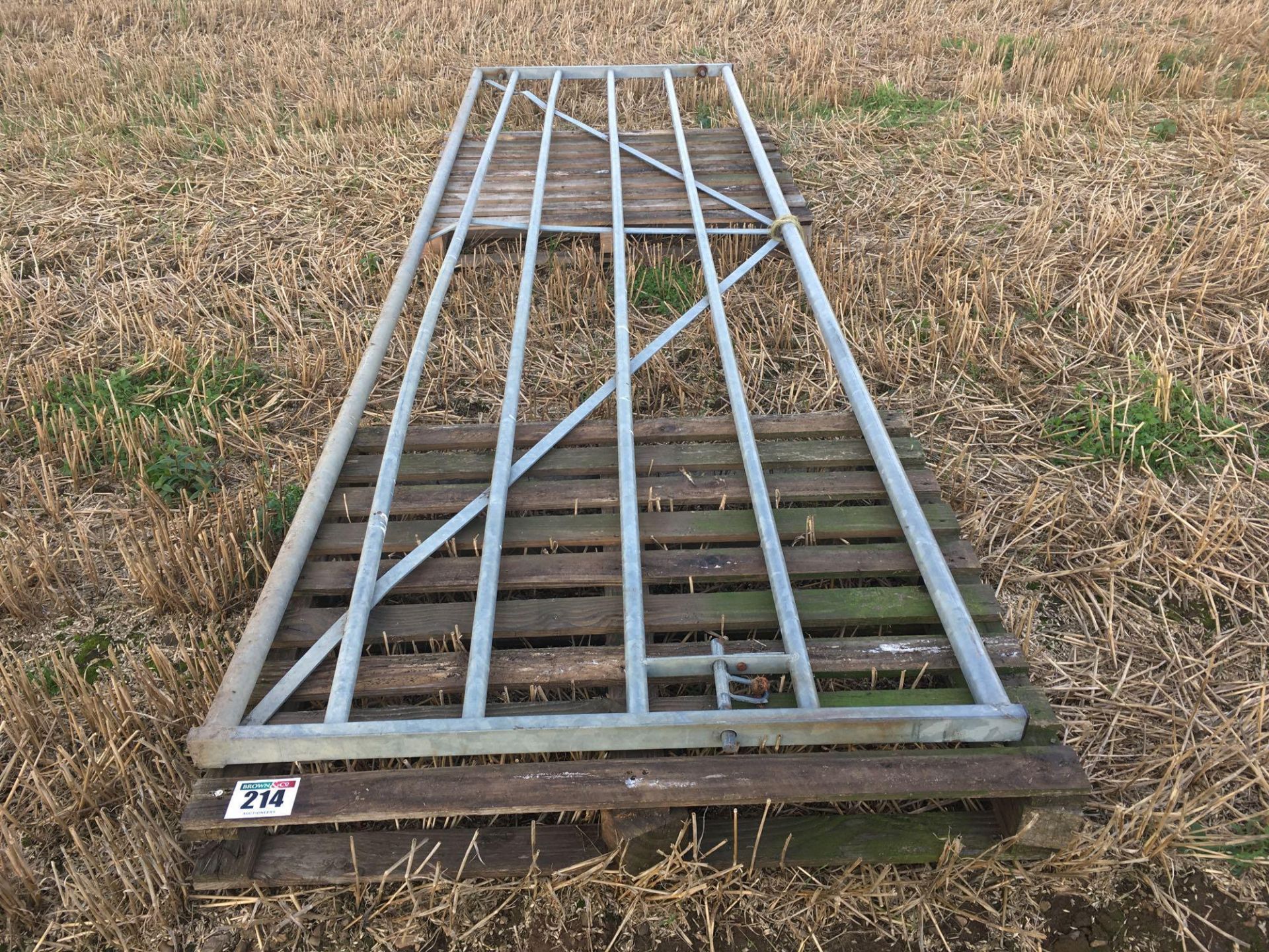 1x 13ft (3.9m) galvanised gate