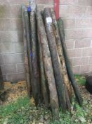 Quantity of wooden fence posts