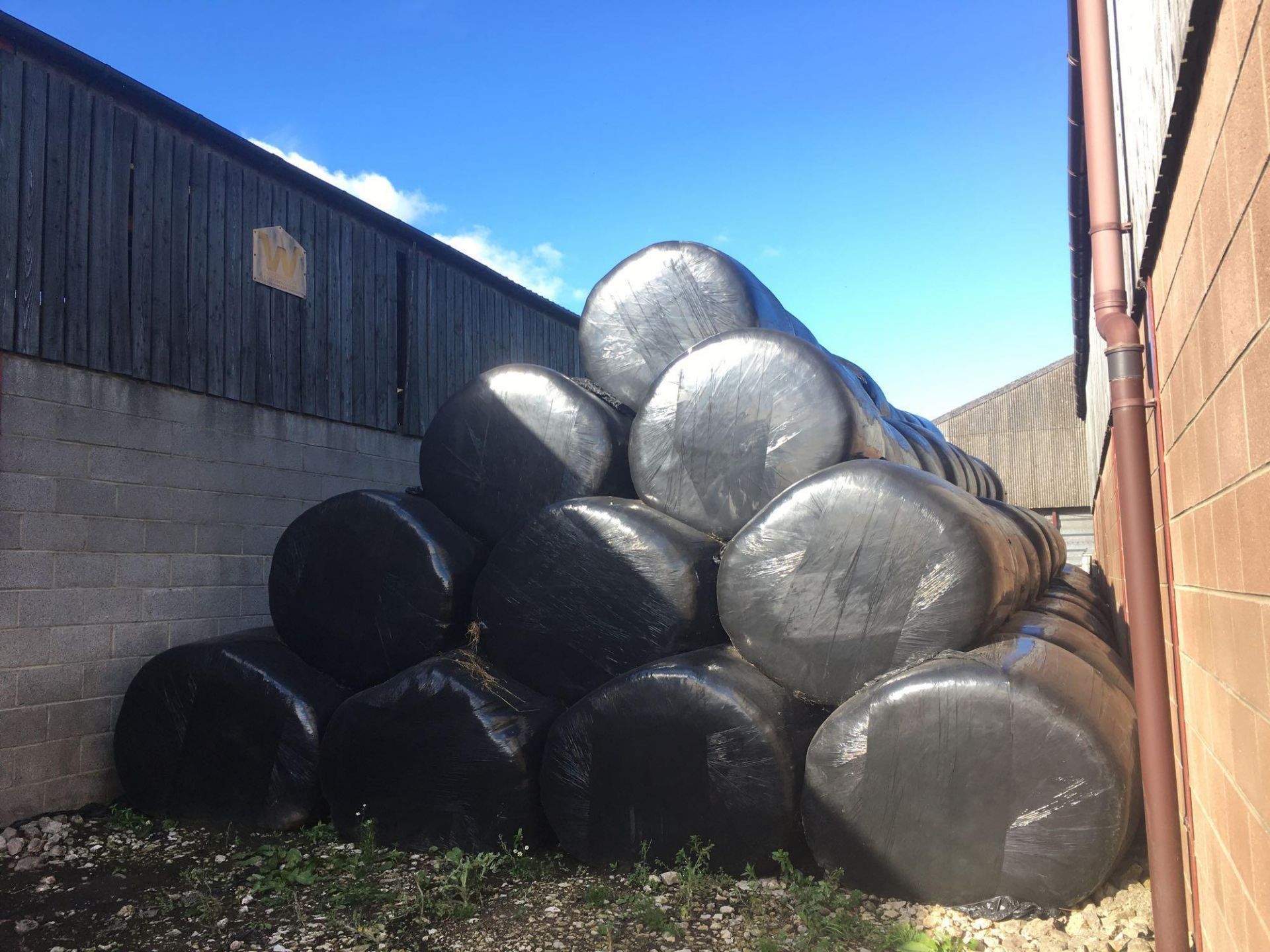 Qty of 2019 silage bales (circa 119 bales) - Image 4 of 4