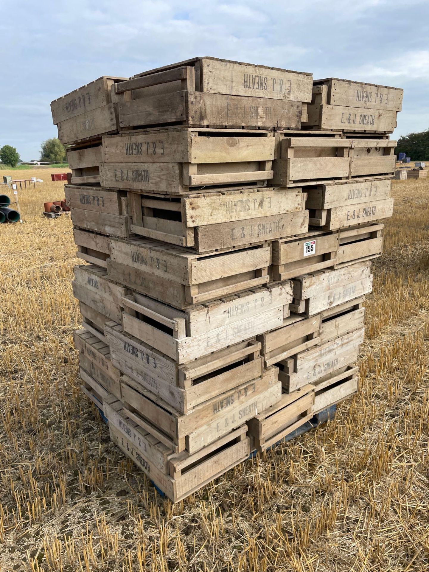 Quantity chitting trays (approximately 400 in each other, remaining in yard)