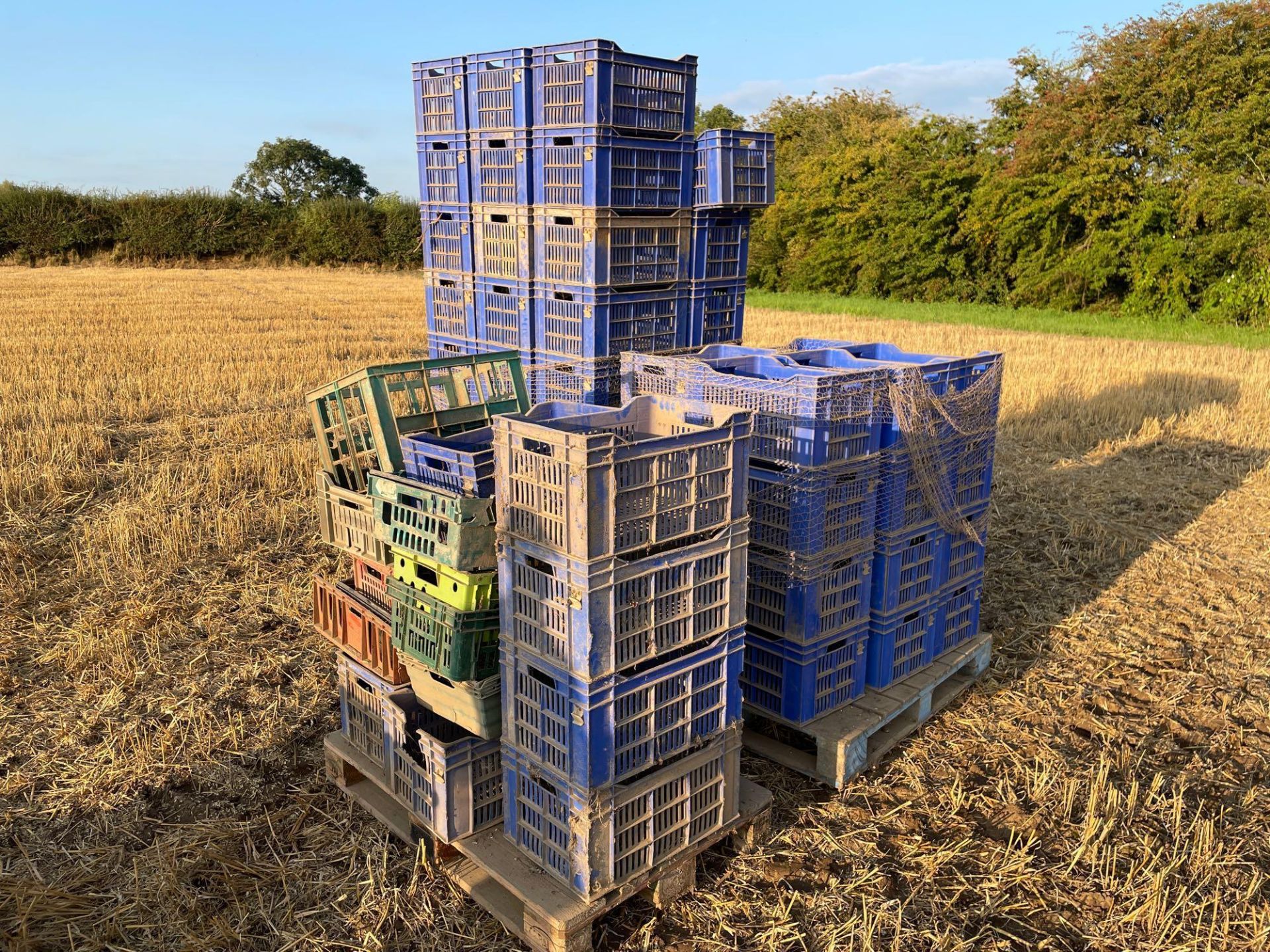 Quantity plastic crates