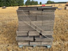 Quantity seed trays