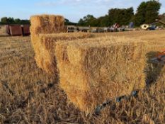 28No. Conventional bales 2019 wheat straw
