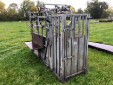 Bateman galvanised cattle crush with foot trimming blocks