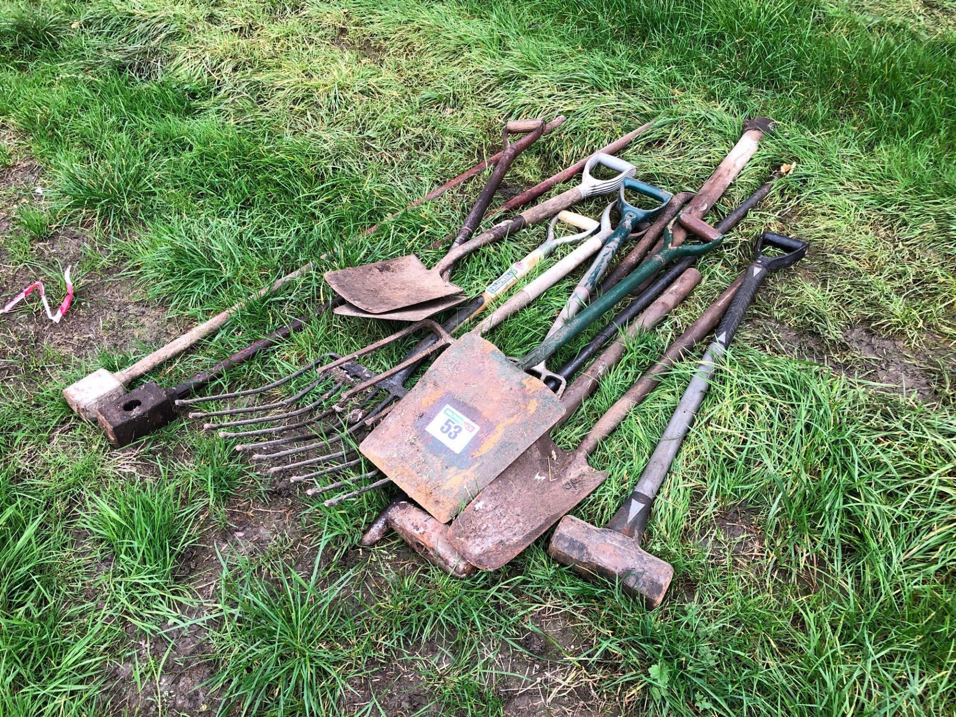 Quantity various hand tools