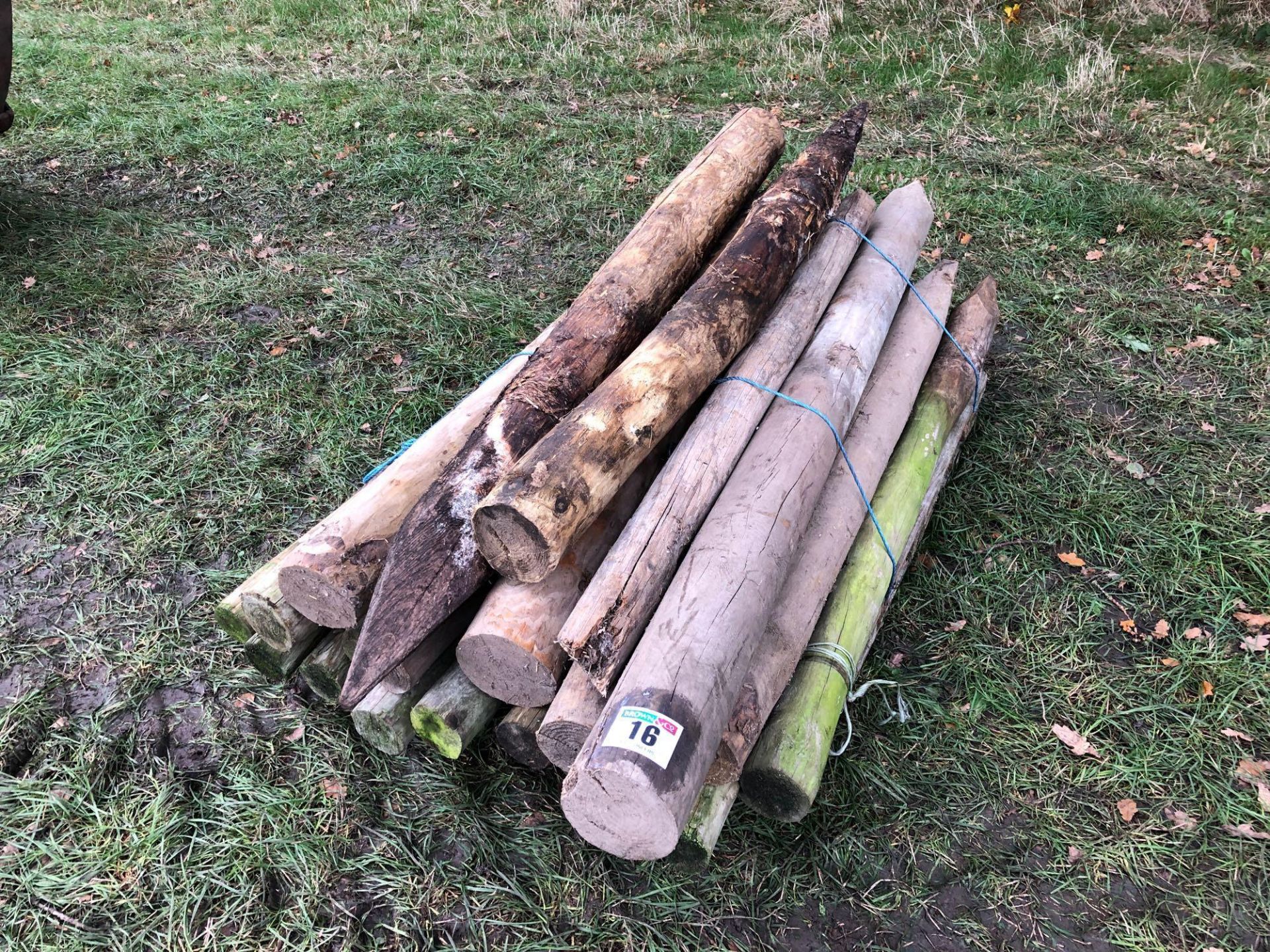 Quantity wooden fencing posts