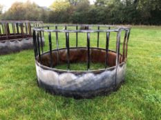 Cattle ring feeder