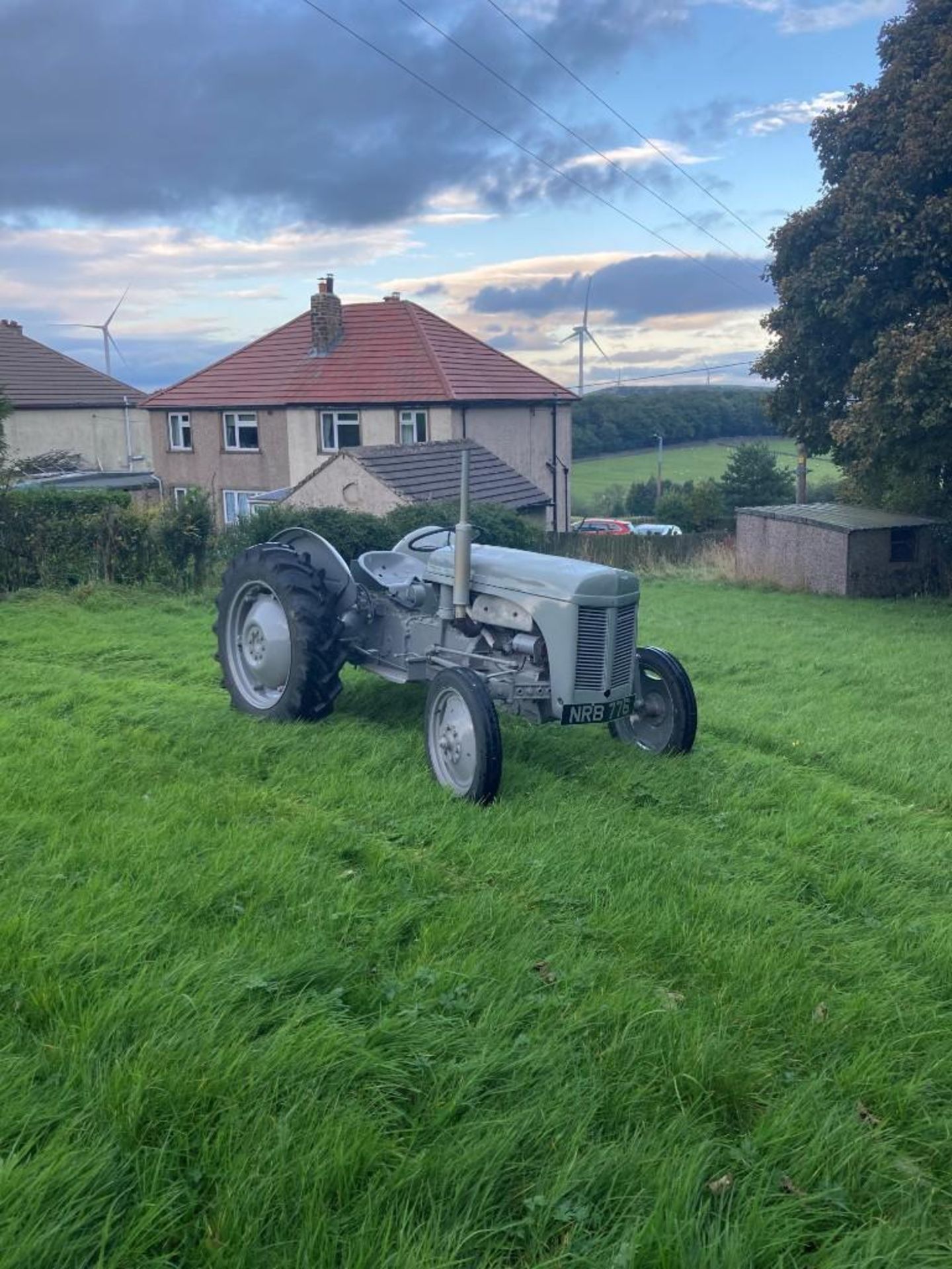 1948 Ferguson Ted 20, good condition, running and driving, older restoration on new tyres, petrol TV