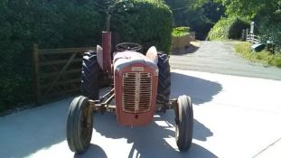 1956 Ferguson 35 tractor, grey and gold, very early serial number: SGM 3862