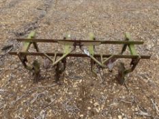 Belton Bros & Drury sugar beet lifting plough