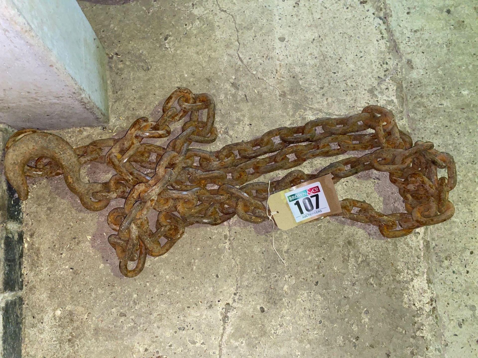 4.8m chain with hook