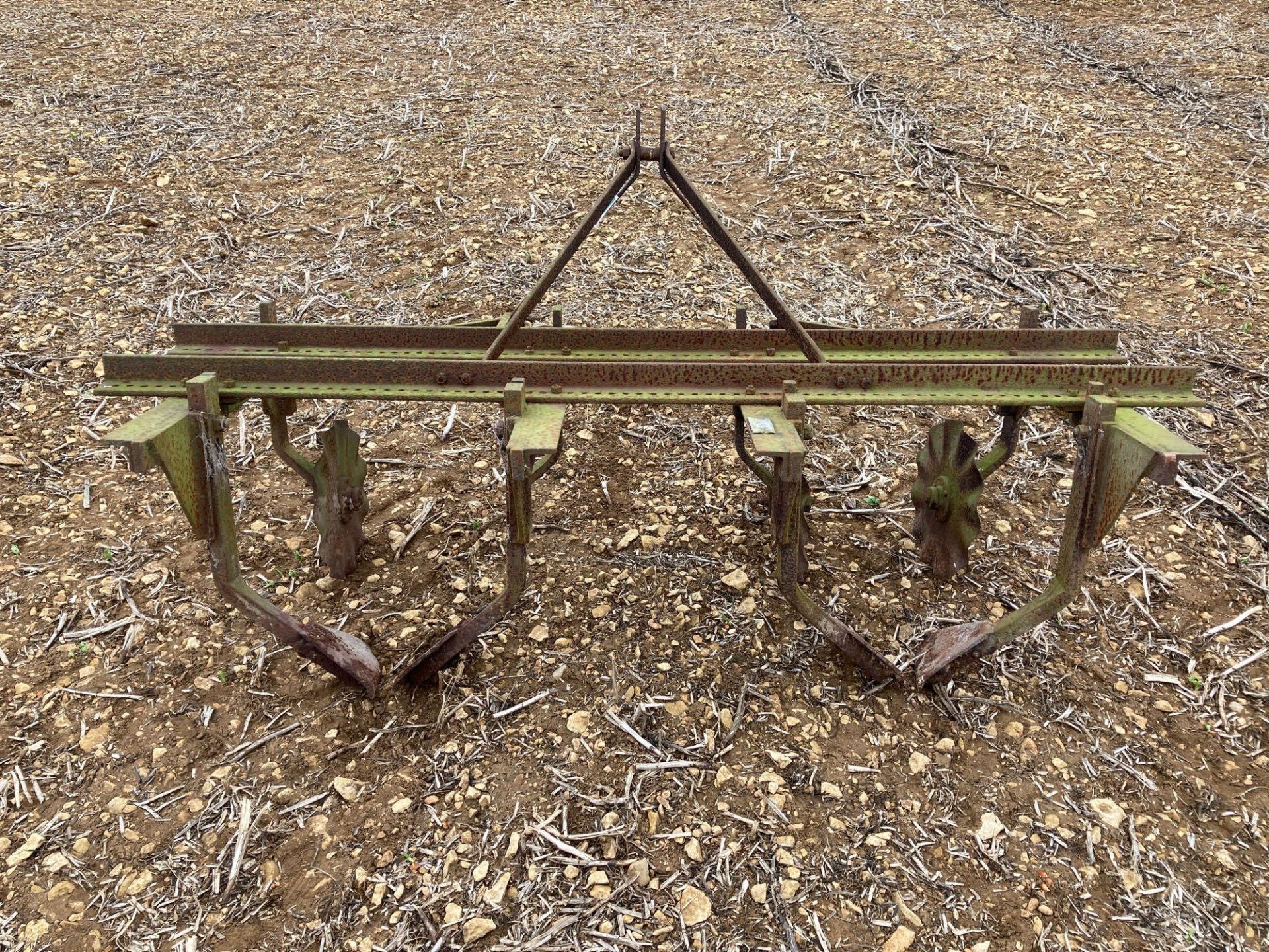 Belton Bros & Drury sugar beet lifting plough - Image 2 of 4