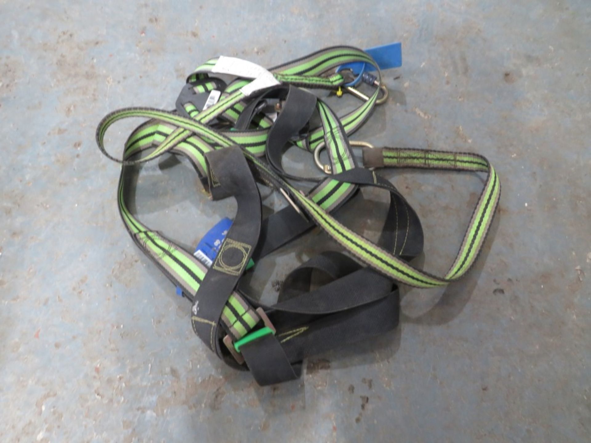 HARNESS [NO VAT]