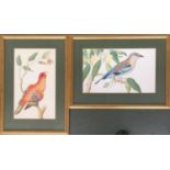 Two framed and glazed decorative colour prints of birds, 28cm x 47cm and 47cm x 28cm (2)