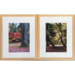 Two photographic prints, 'Westonbirt 2011', 26.5x19