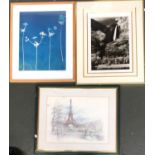Various pictures and prints to include Patricia Glasswell, David Skipp and a black and white