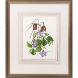 Gillian Hammond, Snake's Head Fritillary, watercolour study, signed and dated 1989, 24x19cm