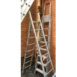 An Atlas folding stepladder; together with a 'Gravity Ladders' aluminium pruning ladder