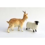 A Beswick Billy goat, 14cmH; together with a Beswick black faced sheep, 8cmH