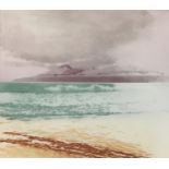 Donald Wilkinson (b.1937) Sound of Rhum/Storm approaching, Artist's Proof, 40cm x 47cm; Flowers