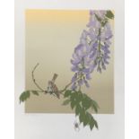 Philip Sheffield, British, 'Wysteria'; silk screenprint in colours, signed in pencil, studio blind