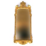 A carved giltwood Continental mirror, shaped plate, with acanthus cresting, 107cm x 44cm