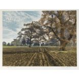 Graham Evernden, (British b.1947-), 'Home Field'; etching with aquatint printed in colours,