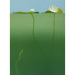 Tully Crook (British, b. 1938) 'Water Lily', limited edition of 200, signed, titled and dated 1983
