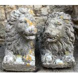 A pair of composite stone lions, 66cmL