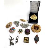 A quantity of costume jewellery brooches, to include two white metal lizards set with marcasites;
